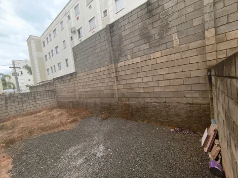 Comprar Apartamento / Padr&atilde;o em S&atilde;o Jos&eacute; do Rio Preto R$ 200.000,00 - Foto 7