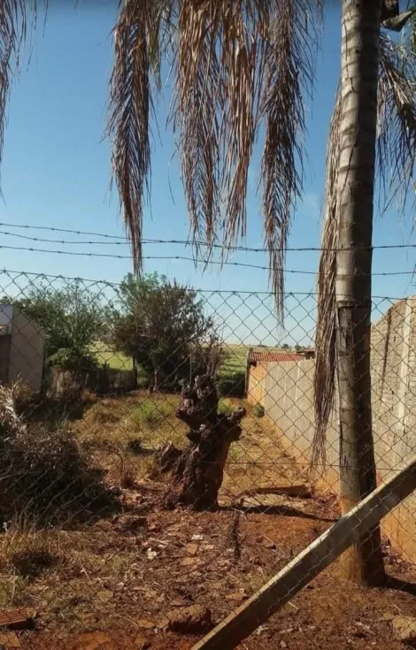 Terreno / Padr&atilde;o em S&atilde;o Jos&eacute; do Rio Preto 