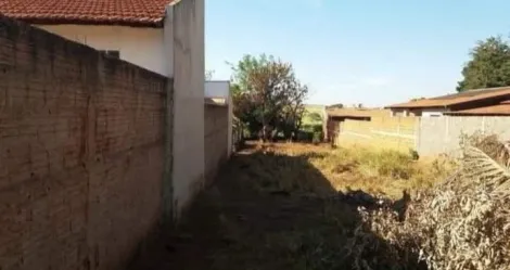 Comprar Terreno / Padr&atilde;o em S&atilde;o Jos&eacute; do Rio Preto R$ 100.000,00 - Foto 2