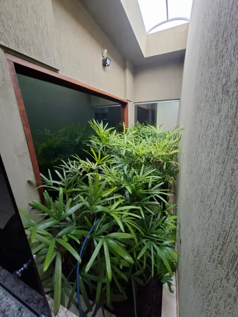 Alugar Comercial / Casa Comercial em S&atilde;o Jos&eacute; do Rio Preto R$ 8.000,00 - Foto 13