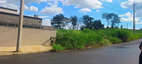 Comprar Terreno / Padr&atilde;o em Bady Bassitt R$ 110.000,00 - Foto 2