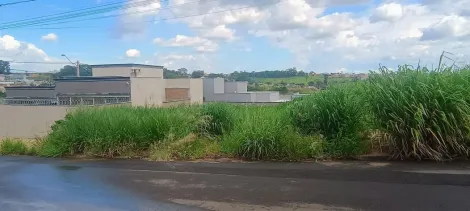 Comprar Terreno / Padr&atilde;o em Bady Bassitt R$ 110.000,00 - Foto 6