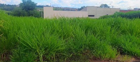 Comprar Terreno / Padr&atilde;o em Bady Bassitt R$ 80.000,00 - Foto 2