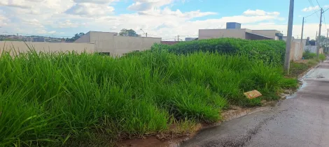 Comprar Terreno / Padr&atilde;o em Bady Bassitt R$ 80.000,00 - Foto 3