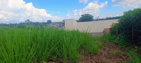 Comprar Terreno / Padr&atilde;o em Bady Bassitt R$ 80.000,00 - Foto 4
