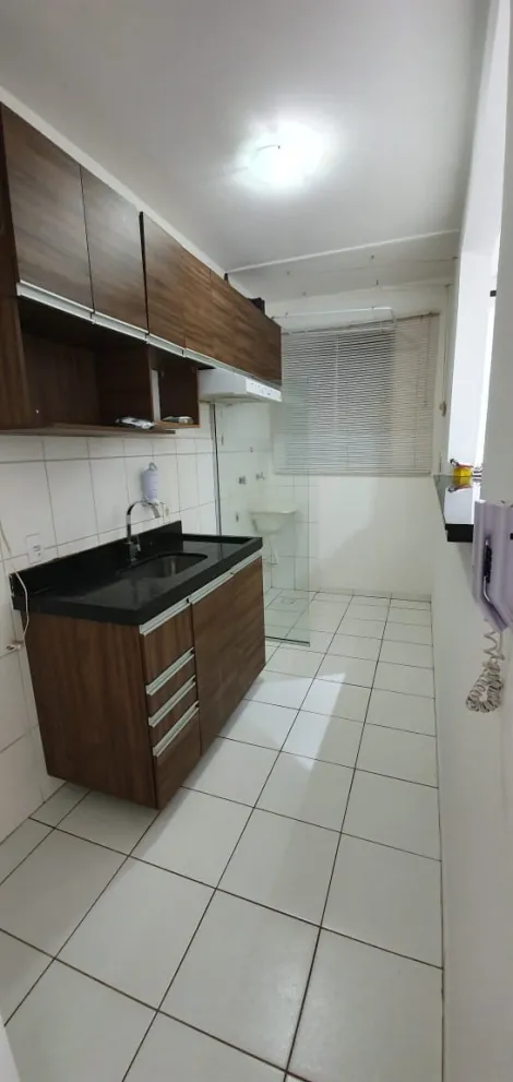 Alugar Apartamento / Padr&atilde;o em S&atilde;o Jos&eacute; do Rio Preto. apenas R$ 1.300,00