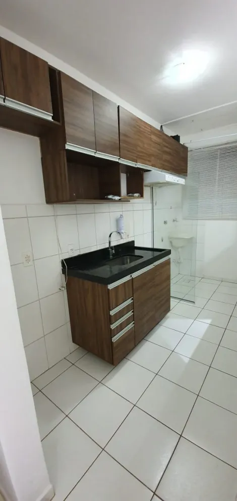 Alugar Apartamento / Padr&atilde;o em S&atilde;o Jos&eacute; do Rio Preto R$ 1.300,00 - Foto 3