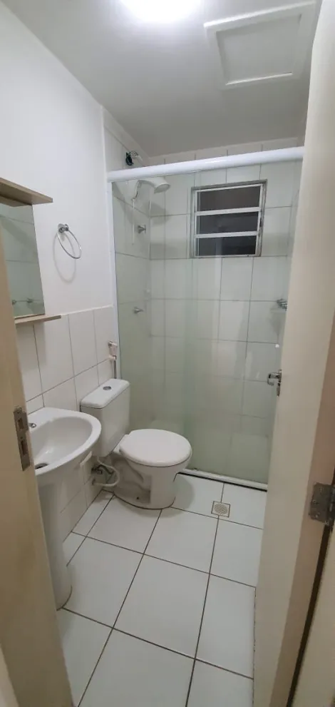 Alugar Apartamento / Padr&atilde;o em S&atilde;o Jos&eacute; do Rio Preto R$ 1.300,00 - Foto 12