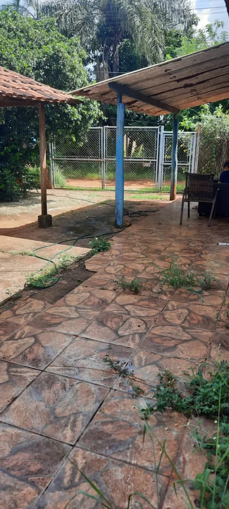 Alugar Casa / Padr&atilde;o em S&atilde;o Jos&eacute; do Rio Preto. apenas R$ 195.000,00