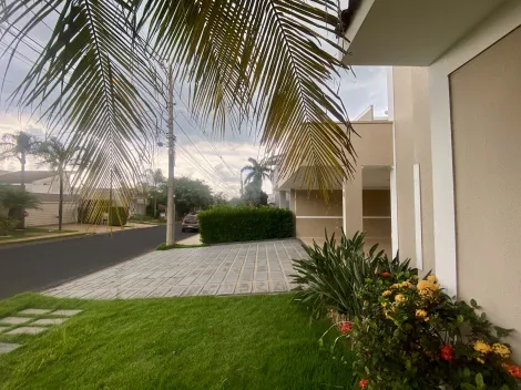 Alugar Casa / Condom&iacute;nio em S&atilde;o Jos&eacute; do Rio Preto R$ 7.000,00 - Foto 5