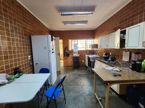 Alugar Casa / Padr&atilde;o em S&atilde;o Jos&eacute; do Rio Preto R$ 10.000,00 - Foto 4
