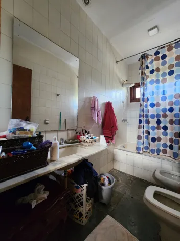 Alugar Casa / Padr&atilde;o em S&atilde;o Jos&eacute; do Rio Preto R$ 10.000,00 - Foto 15