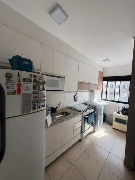 Alugar Apartamento / Padr&atilde;o em S&atilde;o Jos&eacute; do Rio Preto. apenas R$ 2.900,00