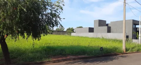 Comprar Terreno / Condom&iacute;nio em Ipigu&aacute; R$ 90.000,00 - Foto 2