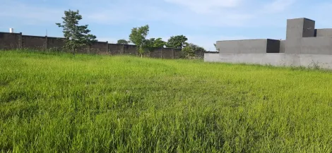 Comprar Terreno / Condom&iacute;nio em Ipigu&aacute; R$ 90.000,00 - Foto 4