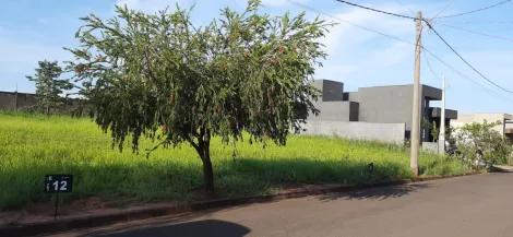 Comprar Terreno / Condom&iacute;nio em Ipigu&aacute; R$ 90.000,00 - Foto 3