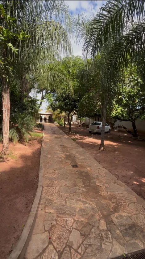 Alugar Rural / Ch&aacute;cara em S&atilde;o Jos&eacute; do Rio Preto R$ 5.800,00 - Foto 4