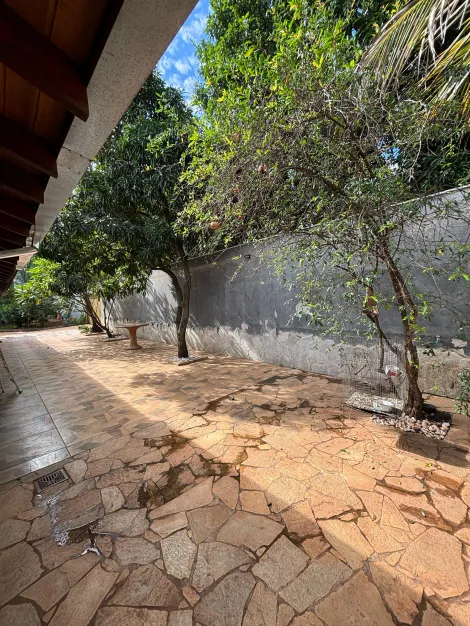 Alugar Rural / Ch&aacute;cara em S&atilde;o Jos&eacute; do Rio Preto R$ 5.800,00 - Foto 18