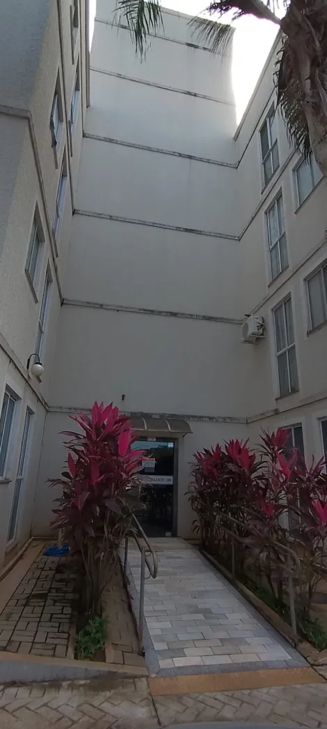 Alugar Apartamento / Padr&atilde;o em S&atilde;o Jos&eacute; do Rio Preto R$ 800,00 - Foto 13