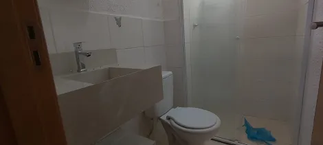 Alugar Apartamento / Padr&atilde;o em S&atilde;o Jos&eacute; do Rio Preto R$ 800,00 - Foto 10