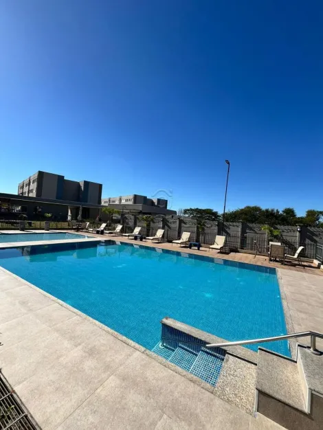 Comprar Apartamento / Padr&atilde;o em S&atilde;o Jos&eacute; do Rio Preto R$ 200.000,00 - Foto 7