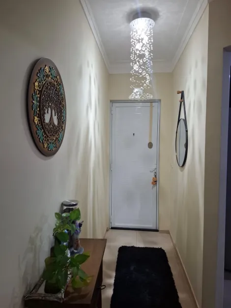 Apartamento / Padr&atilde;o em S&atilde;o Jos&eacute; do Rio Preto 