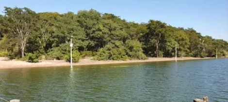 Comprar Rural / Rancho em Sales R$ 800.000,00 - Foto 15
