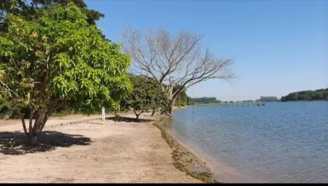 Comprar Rural / Rancho em Sales R$ 800.000,00 - Foto 21