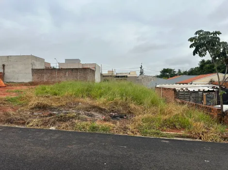 Terreno / Padr&atilde;o em S&atilde;o Jos&eacute; do Rio Preto 
