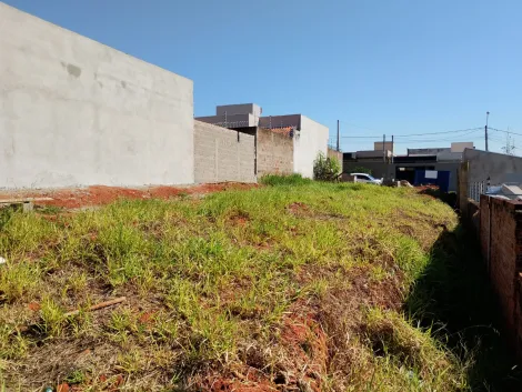 Comprar Terreno / Padr&atilde;o em S&atilde;o Jos&eacute; do Rio Preto R$ 77.000,00 - Foto 8