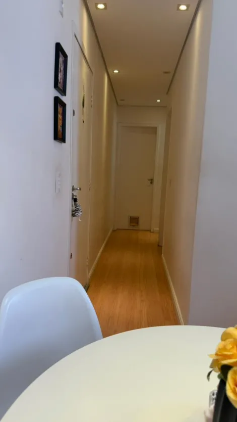 Comprar Apartamento / Padr&atilde;o em S&atilde;o Jos&eacute; do Rio Preto R$ 225.000,00 - Foto 8