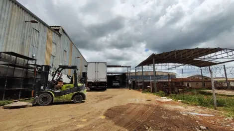 Alugar Comercial / Galp&otilde;es em S&atilde;o Jos&eacute; do Rio Preto R$ 16.000,00 - Foto 12
