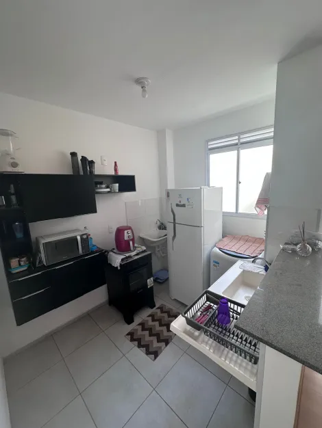 Alugar Apartamento / Padr&atilde;o em S&atilde;o Jos&eacute; do Rio Preto R$ 1.100,00 - Foto 2