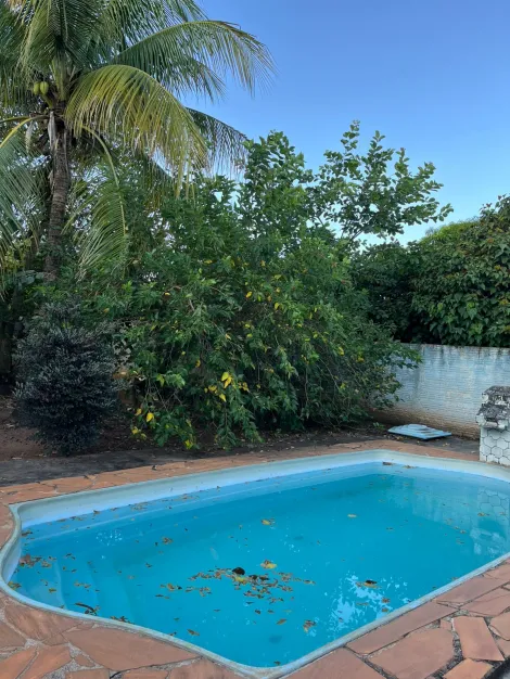 Comprar Casa / Padr&atilde;o em Nova Alian&ccedil;a R$ 410.000,00 - Foto 14