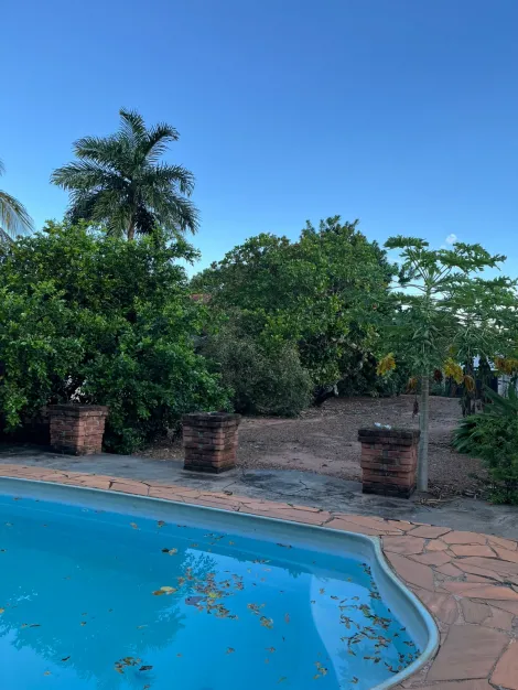 Comprar Casa / Padr&atilde;o em Nova Alian&ccedil;a R$ 410.000,00 - Foto 15