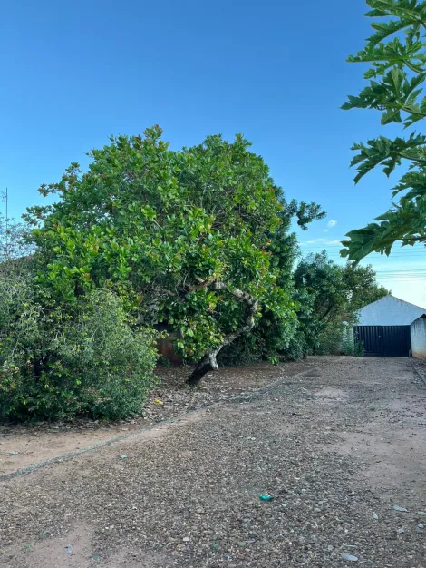 Comprar Casa / Padr&atilde;o em Nova Alian&ccedil;a R$ 410.000,00 - Foto 17