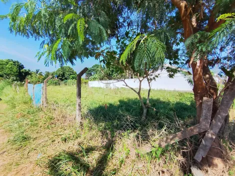Comprar Terreno / Padr&atilde;o em S&atilde;o Jos&eacute; do Rio Preto R$ 125.000,00 - Foto 6