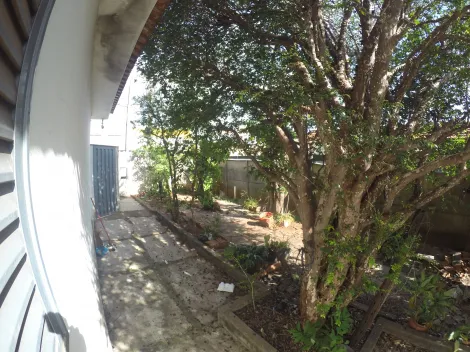 Comprar Terreno / Padr&atilde;o em S&atilde;o Jos&eacute; do Rio Preto R$ 850.000,00 - Foto 23