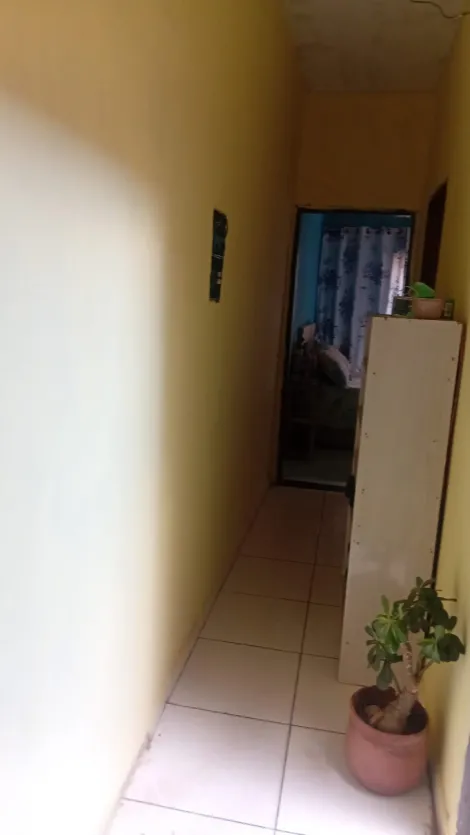 Comprar Casa / Padr&atilde;o em S&atilde;o Jos&eacute; do Rio Preto R$ 300.000,00 - Foto 7