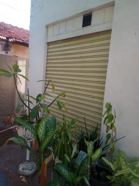 Alugar Casa / Padr&atilde;o em S&atilde;o Jos&eacute; do Rio Preto R$ 1.300,00 - Foto 12