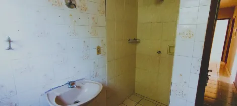 Alugar Apartamento / Padr&atilde;o em S&atilde;o Jos&eacute; do Rio Preto R$ 1.100,00 - Foto 15