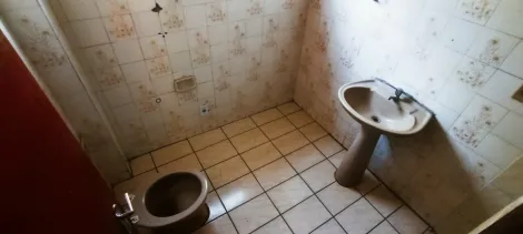 Alugar Apartamento / Padr&atilde;o em S&atilde;o Jos&eacute; do Rio Preto R$ 1.100,00 - Foto 21