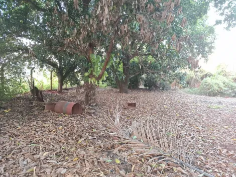 Comprar Rural / Ch&aacute;cara em S&atilde;o Jos&eacute; do Rio Preto R$ 380.000,00 - Foto 10