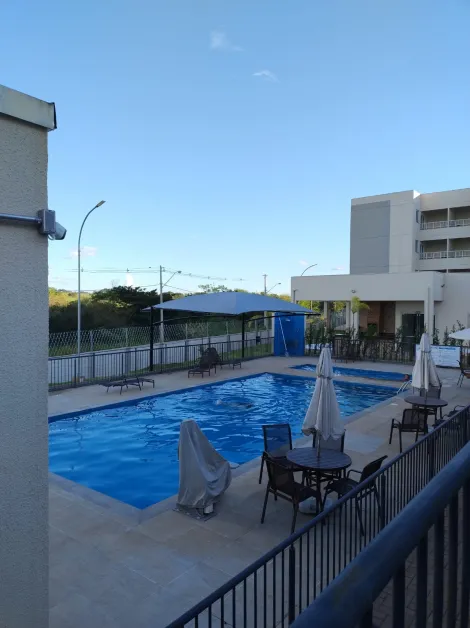 Alugar Apartamento / Padr&atilde;o em S&atilde;o Jos&eacute; do Rio Preto R$ 1.400,00 - Foto 4