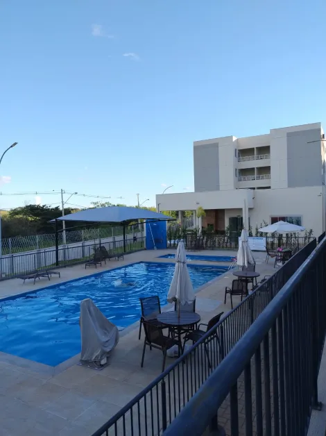 Alugar Apartamento / Padr&atilde;o em S&atilde;o Jos&eacute; do Rio Preto R$ 1.400,00 - Foto 16