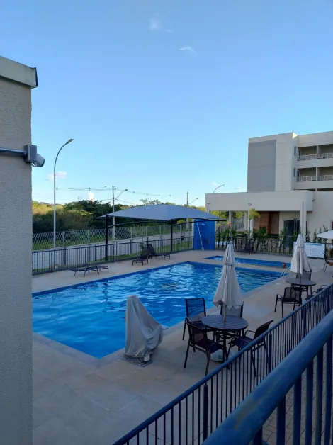 Alugar Apartamento / Padr&atilde;o em S&atilde;o Jos&eacute; do Rio Preto R$ 1.400,00 - Foto 12