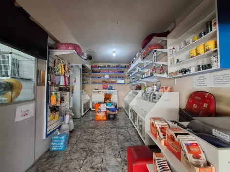 Comercial / Ponto Comercial em S&atilde;o Jos&eacute; do Rio Preto 