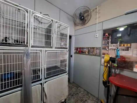 Alugar Comercial / Ponto Comercial em S&atilde;o Jos&eacute; do Rio Preto R$ 1.200,00 - Foto 4