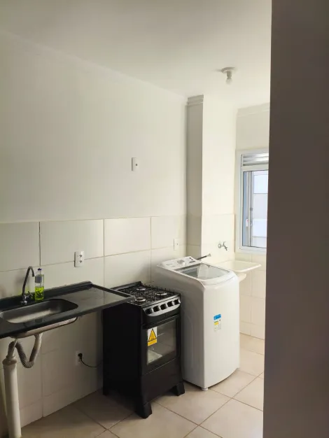 Alugar Apartamento / Padr&atilde;o em S&atilde;o Jos&eacute; do Rio Preto R$ 900,00 - Foto 3
