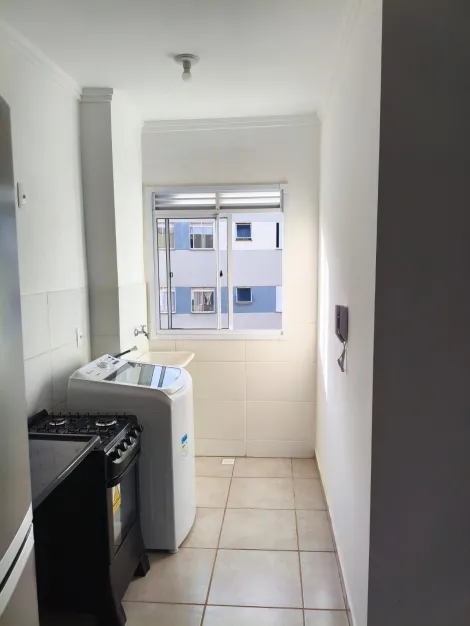 Alugar Apartamento / Padr&atilde;o em S&atilde;o Jos&eacute; do Rio Preto R$ 900,00 - Foto 4